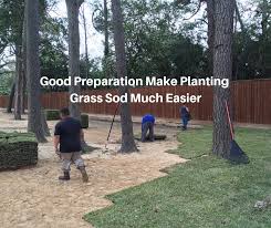 Watch this video or read this article to see how to plant zoysia plugs from trays. Guide For Planting Grass Sod Houston Grass