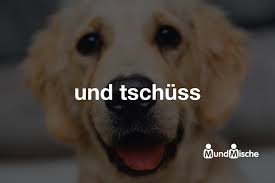 Bissell ist einer der führenden hersteller für bodenreinigungslösungen. Und Tschuss Bedeutung Und Definition Mundmische De