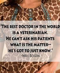 Quotes About Veterinary Medicine 27 Quotes