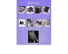growth record poster with photos of a petの画像