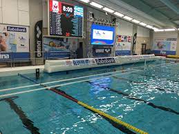official bij het women s waterpolo olympic qualification tournament 2016 rio in gouda