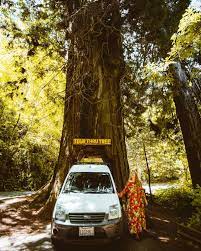 Brought back memories of driving through the tree myself. Is The Klamath Tour Thru Tree Worth It Whimsy Soul