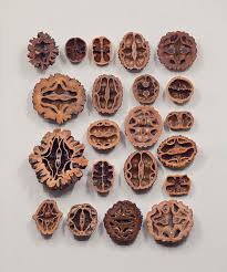 Image result for Juglandaceae