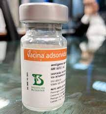 No imunizante contra a covid, o vírus inativado de uma gripe aviária (doença de newcastle) é utilizado como. Anvisa Libera Importacao De 6 Milhoes De Doses Da Coronavac Vacina Contra A Covid Que Esta Na 3Âª Fase De Testes Vacina G1