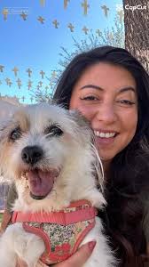 Molly from Snoopy As A Baby