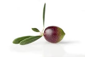 Olive Oil Olive Leaf Extract Skin Care From Spain Spanish Skincare Natural Skin Care Skin Care