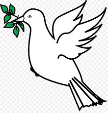 Dove With Olive Branch - Dove Carrying ...