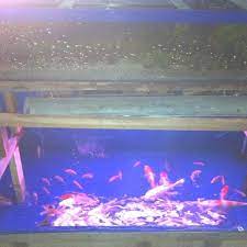 F = ab + a'b + ab' penyelesaian: Photos At Aneka Aquarium Jl Brigzein Hamid
