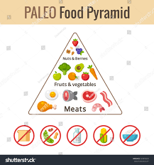 Paleo Food Pyramid Chart Nutrition Diet Stock Vector