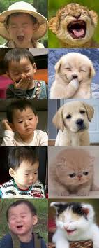  Pin Oleh Rilakkuma San Di Mingukieee Bayi Lucu Kembar Lucu