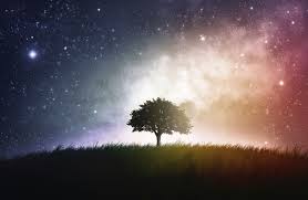 Bad News, Stargazers: The Night Sky is Disappearing Before Our Eyes | The  Takeaway | WNYC Studios