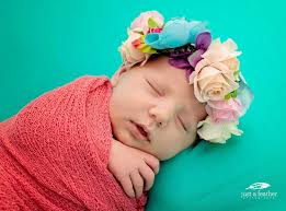 Just a feather photography