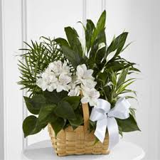 Fromyouflowers.com has been visited by 10k+ users in the past month Safeway Floral Flower Delivery
