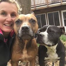 Best In-Home Pet Sitters in Carrollton, VA