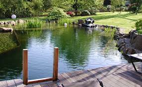 Badeteich Badeteich Familiengarten Schwimmteich