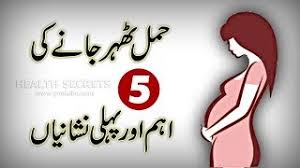 5 Most Common Early Signs And Symptoms Of Pregnancy Pregnancy Test In Urdu Youtube
