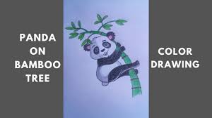 How To Draw A Panda On Bamboo Tree Color Drawing For Kids Youtube Did you scroll all this way to get facts about bamboo tree art? how to draw a panda on bamboo tree color drawing for kids