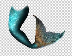 Mermaid Tail Siren Png Art Avatan Avatan Plus Digital Image Fantasy Mermaid Tail Digital Art Illustration Png