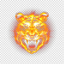 You can build a small frog. Cats Tiger Flame Fire Roar Animal Orange Yellow Transparent Background Png Clipart Hiclipart