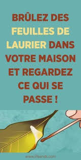 Epingle Sur Loi