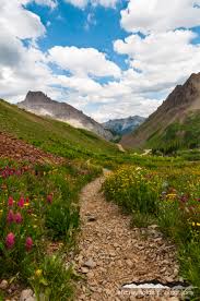Our seed can be used for home, farm & ranch, reclamation, and parks & recreation applications. Wildflower Path Yankee Boy Basin Co San Juan Mountains Southwest Colorado Ouray Telluride Landscape Photography Mountains