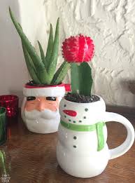 For example, this brazilian coastal plant (which is also known. 10 Cactus Christmas Ideas The Crafty Chica
