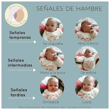 Señales de hambre en tu bebé