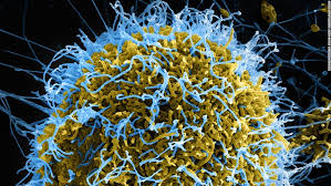 2021 democratic republic of the congo, north kivu province. Ebola Outbreak In Guinea Countries In West Africa On High Alert Cnn