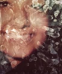 Tabitha soren, san francisco bay area ca. Tabitha Soren