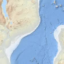 Image result for Athroisma gracile