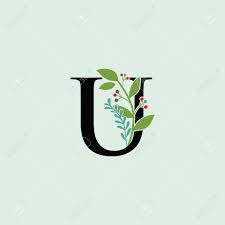 Maybe you would like to learn more about one of these? Beautiful U Letter Flower Logo Design Royalty Free Cliparts Vectors And Stock Illustration Image 143966644