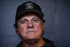 New barbs fly in Tony La Russa/Animal Rescue Foundation dispute