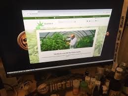 We did not find results for: Cbd Garten24 Cbd Online Shop Informationen Erfahrungen Test