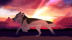 We hope you enjoy watching this animation. Wolf Run Cycle Animation Youtube