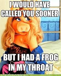 Memebase - muppet - Page 2 - All Your Memes In Our Base - Funny Memes -  Cheezburger
