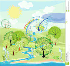 Water Cycle Stock Vector Illustration Of Chart Hill 46216252