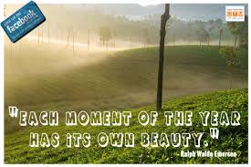 A Sunrise In Munnar Tourism Services Kerala Travel Tourism Quotes