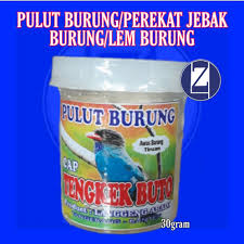 We did not find results for: Jual Lem Burung Pulut Terbaru Lazada Co Id