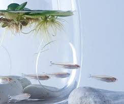 The Waterscape Aquarium Exhibit Held At The Misawa Design Institute Features A Series Of Small Architectural And Ar Waterscape Aquarium Design Fish Tank Design