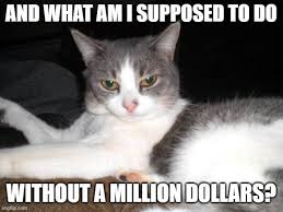 Invest 1 Million Dollars For Guaranteed Income No Way