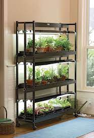 Grow Light Stand 3 Tier Sunlite Garden T 5 Bulbs Grow Lights For Plants Indoor Grow Lights Indoor Vegetable Gardening