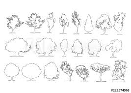 Set Of Side View Graphics Trees Elements Outline Symbol For Architecture And Landscape Design Dr Landscape Design Drawings Landscape Design Vector Illustration
