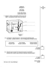 Pengenalan rambut dan kulit kepala. Download Science Form 2 Question Paper 1 Pdf File Format