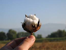 НАТО не стремится к "холодной войне", - Столтенберг - Цензор.НЕТ 2571