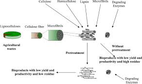 Due to a large amount of water, they are an unstable material. Importance Of Chemical Pretreatment For Bioconversion Of Lignocellulosic Biomass Sciencedirect