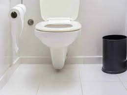 Check spelling or type a new query. Can You Catch A Sexually Transmitted Infection Sti From A Toilet Seat The Times Of India