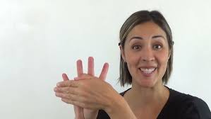 Bug TV Episode 4: Ladybug Life Cycle