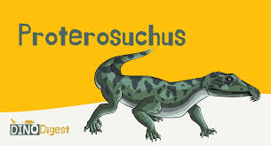 Image result for Proterosuchus