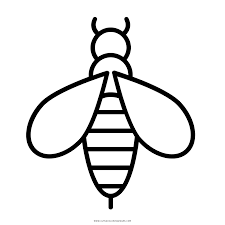 Kizicolor.com provides a large diversity of free printable coloring pages for kids, coloring sheets, free colouring book, illustrations, printable pictures, clipart, black and white pictures, line art and drawings. Wasp Coloring Page Ultra Coloring Pages