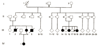 imprinting and genetic disease angelman prader willi and